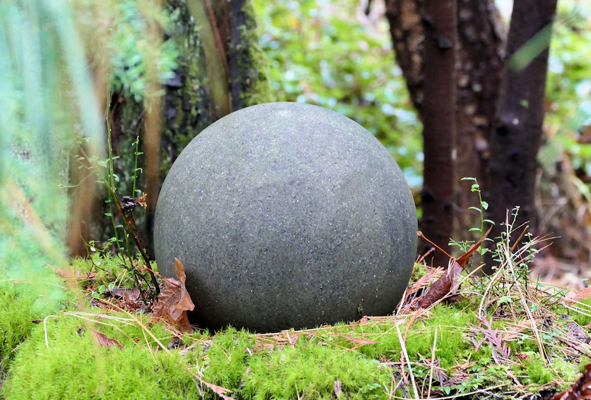 I live in the woods!